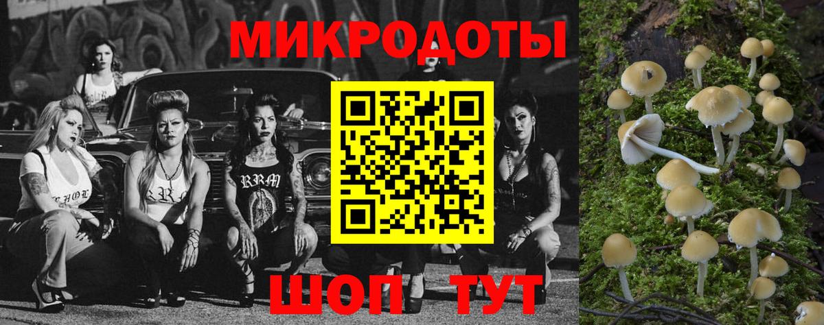 Галлюциногенные грибы прущие грибы Амурск